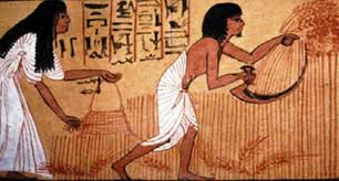 الفلاح المصري القديم