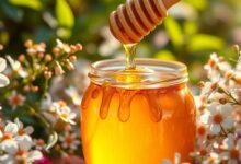 تفسير حلم أكل العسل في المنام