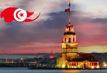 تأشيرة تركيا للمصريين