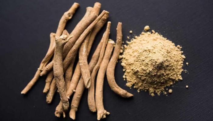 نبتة الأشوجندا